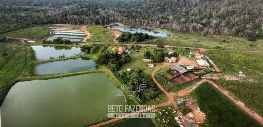 Fazenda à Venda 10.436 hectares Aptidão Produtiva c/ Pecuária Lavoura Piscicultura | Região Roraima