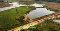 Fazenda à Venda 10.436 hectares Aptidão Produtiva c/ Pecuária Lavoura Piscicultura | Região Roraima
