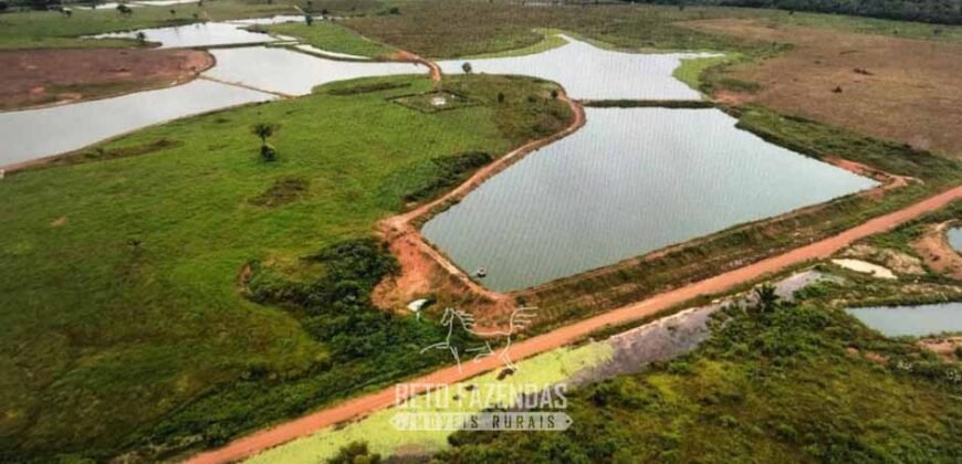 Fazenda à Venda 10.436 hectares Aptidão Produtiva c/ Pecuária Lavoura Piscicultura | Região Roraima