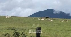 Fazenda à Venda 10.436 hectares Aptidão Produtiva c/ Pecuária Lavoura Piscicultura | Região Roraima