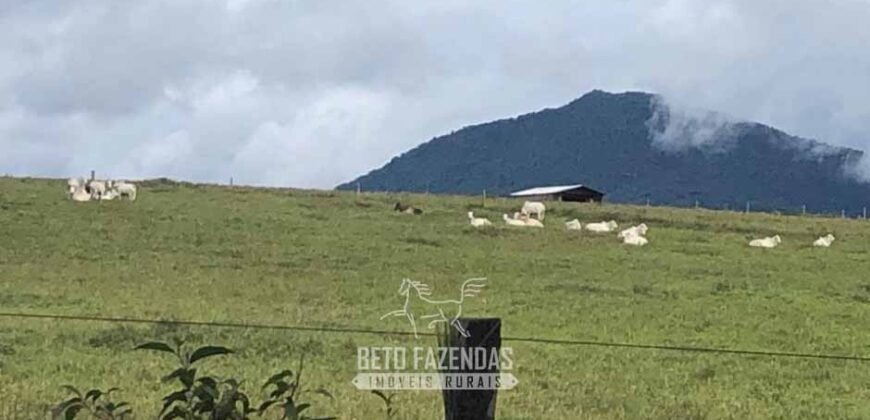Fazenda à Venda 10.436 hectares Aptidão Produtiva c/ Pecuária Lavoura Piscicultura | Região Roraima