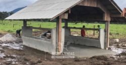 Fazenda à Venda 10.436 hectares Aptidão Produtiva c/ Pecuária Lavoura Piscicultura | Região Roraima