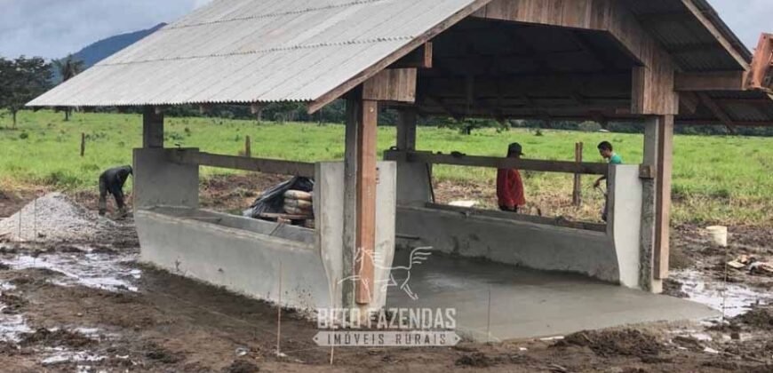 Fazenda à Venda 10.436 hectares Aptidão Produtiva c/ Pecuária Lavoura Piscicultura | Região Roraima