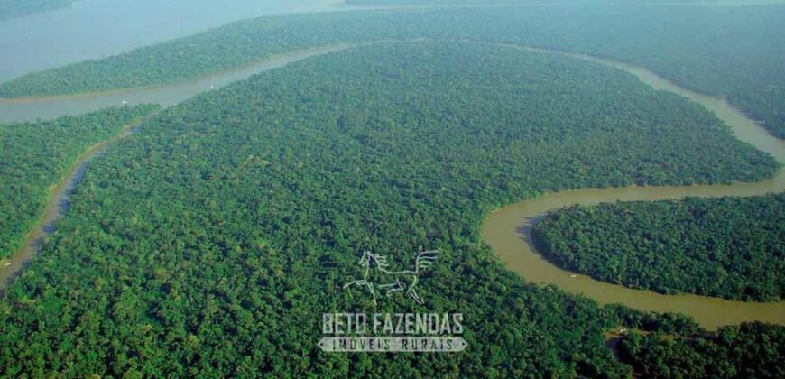 Área Gigante no Amazonas 3.160.365 hectares Investimento em Crédito de Carbono | Tapauá/AM
