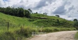 Fazenda à Venda 84 alqueires para Pecuária e Investimento | Silva Jardim/RJ Fazenda à Venda 84 alqueires para Pecuária e Investimento | Silva Jardim/RJ