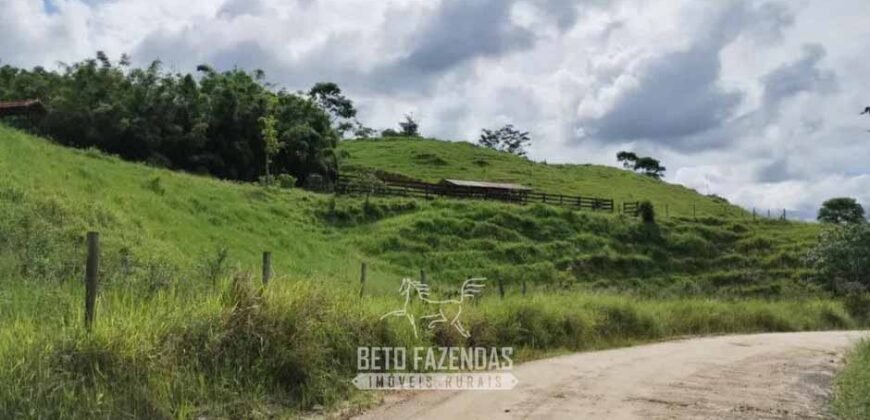 Fazenda à Venda 84 alqueires para Pecuária e Investimento | Silva Jardim/RJ Fazenda à Venda 84 alqueires para Pecuária e Investimento | Silva Jardim/RJ