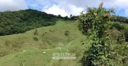 Fazenda à Venda 84 alqueires para Pecuária e Investimento | Silva Jardim/RJ Fazenda à Venda 84 alqueires para Pecuária e Investimento | Silva Jardim/RJ