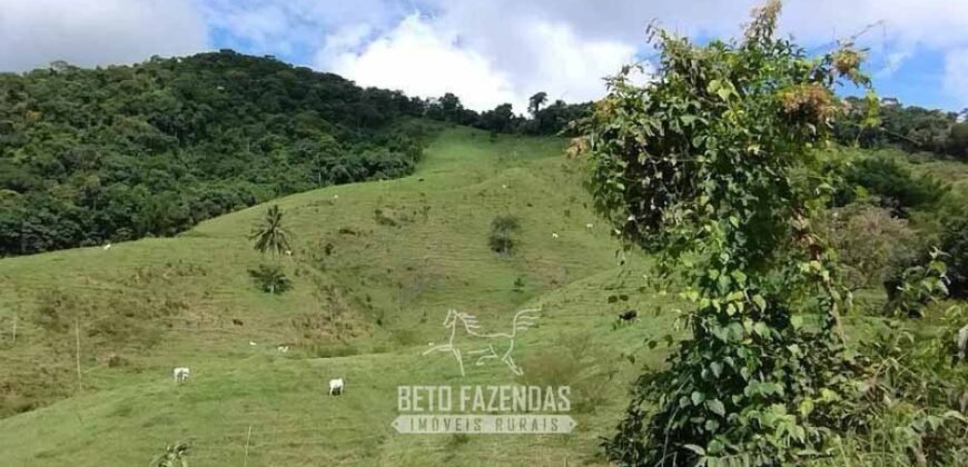 Fazenda à Venda 84 alqueires para Pecuária e Investimento | Silva Jardim/RJ Fazenda à Venda 84 alqueires para Pecuária e Investimento | Silva Jardim/RJ