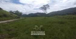 Fazenda à Venda 84 alqueires para Pecuária e Investimento | Silva Jardim/RJ Fazenda à Venda 84 alqueires para Pecuária e Investimento | Silva Jardim/RJ