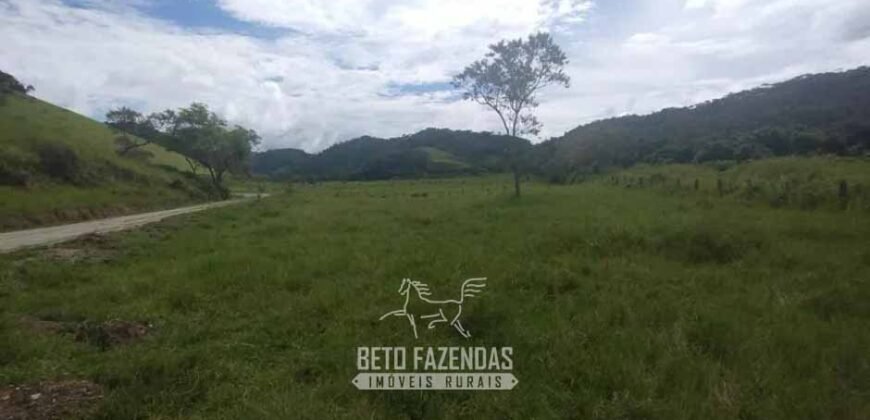 Fazenda à Venda 84 alqueires para Pecuária e Investimento | Silva Jardim/RJ Fazenda à Venda 84 alqueires para Pecuária e Investimento | Silva Jardim/RJ