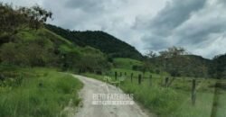 Fazenda à Venda 84 alqueires para Pecuária e Investimento | Silva Jardim/RJ Fazenda à Venda 84 alqueires para Pecuária e Investimento | Silva Jardim/RJ