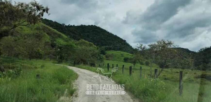 Fazenda à Venda 84 alqueires para Pecuária e Investimento | Silva Jardim/RJ Fazenda à Venda 84 alqueires para Pecuária e Investimento | Silva Jardim/RJ