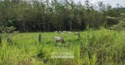 Fazenda à Venda 84 alqueires para Pecuária e Investimento | Silva Jardim/RJ Fazenda à Venda 84 alqueires para Pecuária e Investimento | Silva Jardim/RJ