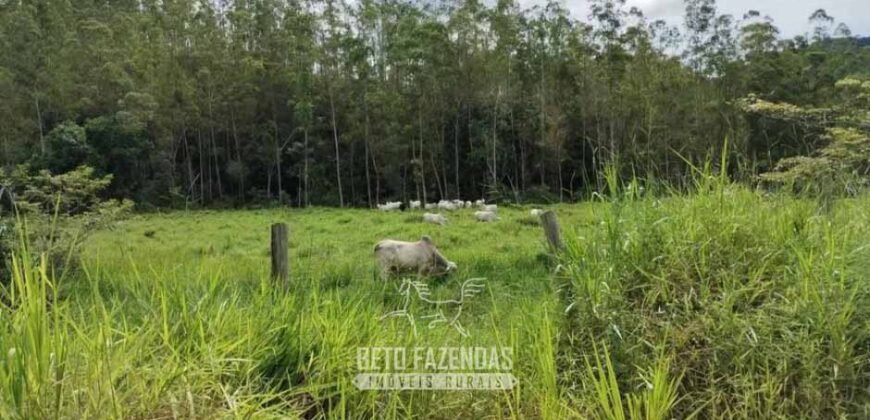 Fazenda à Venda 84 alqueires para Pecuária e Investimento | Silva Jardim/RJ Fazenda à Venda 84 alqueires para Pecuária e Investimento | Silva Jardim/RJ
