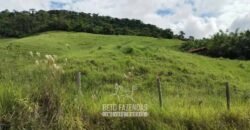 Fazenda à Venda 84 alqueires para Pecuária e Investimento | Silva Jardim/RJ Fazenda à Venda 84 alqueires para Pecuária e Investimento | Silva Jardim/RJ