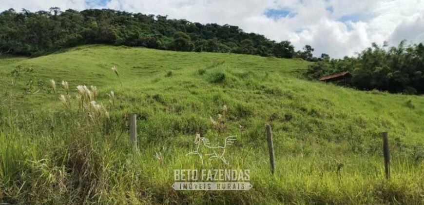 Fazenda à Venda 84 alqueires para Pecuária e Investimento | Silva Jardim/RJ Fazenda à Venda 84 alqueires para Pecuária e Investimento | Silva Jardim/RJ