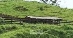 Fazenda à Venda 84 alqueires para Pecuária e Investimento | Silva Jardim/RJ Fazenda à Venda 84 alqueires para Pecuária e Investimento | Silva Jardim/RJ