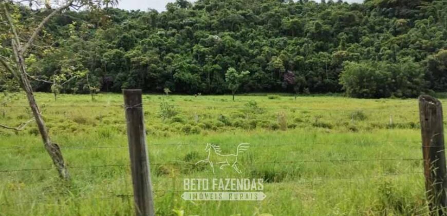 Fazenda à Venda 84 alqueires para Pecuária e Investimento | Silva Jardim/RJ Fazenda à Venda 84 alqueires para Pecuária e Investimento | Silva Jardim/RJ