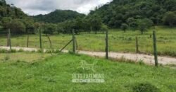 Fazenda à Venda 84 alqueires para Pecuária e Investimento | Silva Jardim/RJ Fazenda à Venda 84 alqueires para Pecuária e Investimento | Silva Jardim/RJ