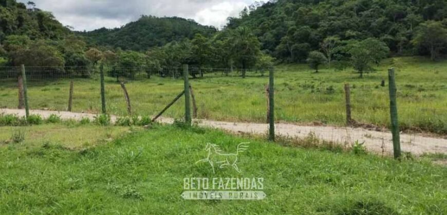 Fazenda à Venda 84 alqueires para Pecuária e Investimento | Silva Jardim/RJ Fazenda à Venda 84 alqueires para Pecuária e Investimento | Silva Jardim/RJ