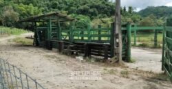 Fazenda à Venda 84 alqueires para Pecuária e Investimento | Silva Jardim/RJ Fazenda à Venda 84 alqueires para Pecuária e Investimento | Silva Jardim/RJ