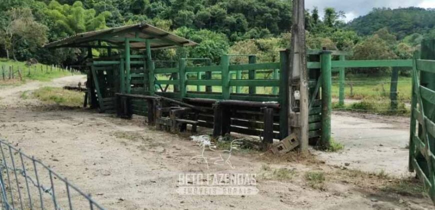 Fazenda à Venda 84 alqueires para Pecuária e Investimento | Silva Jardim/RJ Fazenda à Venda 84 alqueires para Pecuária e Investimento | Silva Jardim/RJ
