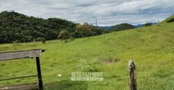 Fazenda à Venda 84 alqueires para Pecuária e Investimento | Silva Jardim/RJ Fazenda à Venda 84 alqueires para Pecuária e Investimento | Silva Jardim/RJ