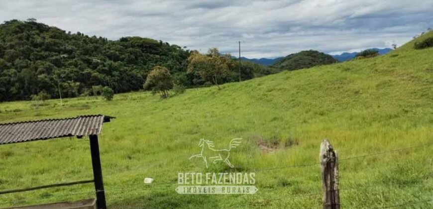 Fazenda à Venda 84 alqueires para Pecuária e Investimento | Silva Jardim/RJ Fazenda à Venda 84 alqueires para Pecuária e Investimento | Silva Jardim/RJ
