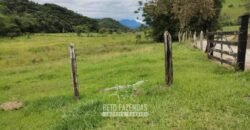 Fazenda à Venda 84 alqueires para Pecuária e Investimento | Silva Jardim/RJ Fazenda à Venda 84 alqueires para Pecuária e Investimento | Silva Jardim/RJ