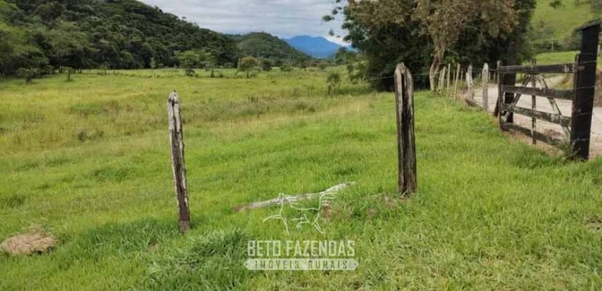 Fazenda à Venda 84 alqueires para Pecuária e Investimento | Silva Jardim/RJ Fazenda à Venda 84 alqueires para Pecuária e Investimento | Silva Jardim/RJ