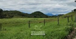 Fazenda à Venda 84 alqueires para Pecuária e Investimento | Silva Jardim/RJ Fazenda à Venda 84 alqueires para Pecuária e Investimento | Silva Jardim/RJ