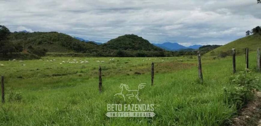 Fazenda à Venda 84 alqueires para Pecuária e Investimento | Silva Jardim/RJ Fazenda à Venda 84 alqueires para Pecuária e Investimento | Silva Jardim/RJ