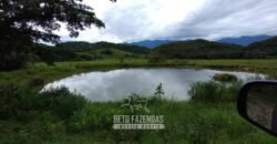 Fazenda à Venda 84 alqueires para Pecuária e Investimento | Silva Jardim/RJ Fazenda à Venda 84 alqueires para Pecuária e Investimento | Silva Jardim/RJ