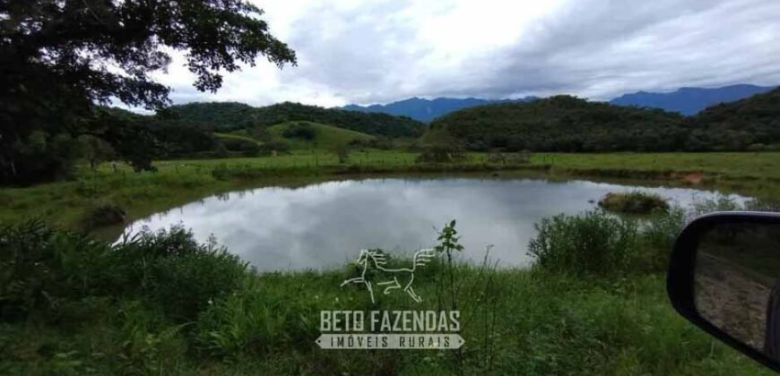 Fazenda à Venda 84 alqueires para Pecuária e Investimento | Silva Jardim/RJ Fazenda à Venda 84 alqueires para Pecuária e Investimento | Silva Jardim/RJ