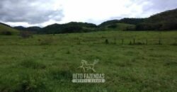 Fazenda à Venda 84 alqueires para Pecuária e Investimento | Silva Jardim/RJ Fazenda à Venda 84 alqueires para Pecuária e Investimento | Silva Jardim/RJ