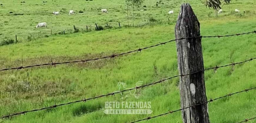 Fazenda à Venda 84 alqueires para Pecuária e Investimento | Silva Jardim/RJ Fazenda à Venda 84 alqueires para Pecuária e Investimento | Silva Jardim/RJ