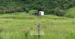 Fazenda à Venda 84 alqueires para Pecuária e Investimento | Silva Jardim/RJ Fazenda à Venda 84 alqueires para Pecuária e Investimento | Silva Jardim/RJ