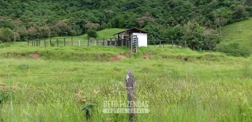 Fazenda à Venda 84 alqueires para Pecuária e Investimento | Silva Jardim/RJ Fazenda à Venda 84 alqueires para Pecuária e Investimento | Silva Jardim/RJ