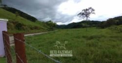 Fazenda à Venda 84 alqueires para Pecuária e Investimento | Silva Jardim/RJ Fazenda à Venda 84 alqueires para Pecuária e Investimento | Silva Jardim/RJ