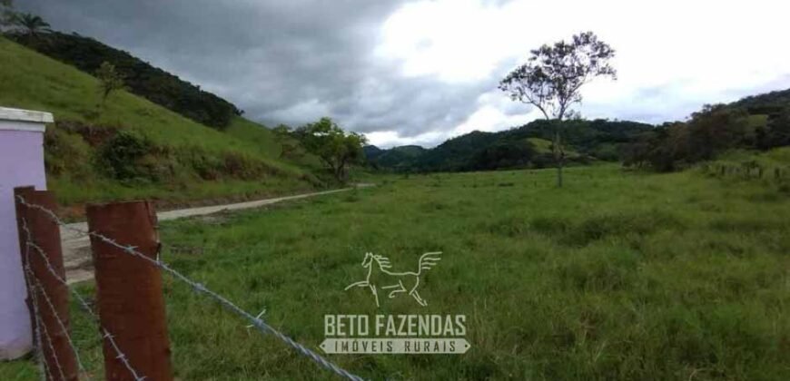 Fazenda à Venda 84 alqueires para Pecuária e Investimento | Silva Jardim/RJ Fazenda à Venda 84 alqueires para Pecuária e Investimento | Silva Jardim/RJ