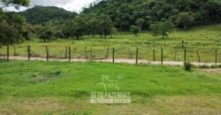 Fazenda à Venda 84 alqueires para Pecuária e Investimento | Silva Jardim/RJ Fazenda à Venda 84 alqueires para Pecuária e Investimento | Silva Jardim/RJ