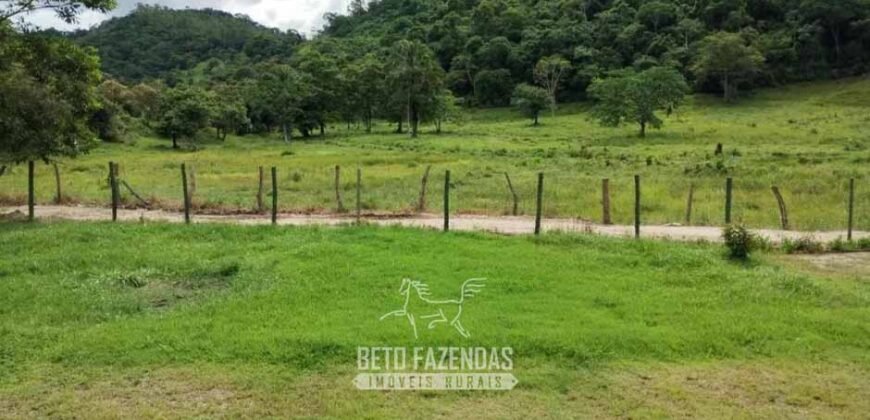 Fazenda à Venda 84 alqueires para Pecuária e Investimento | Silva Jardim/RJ Fazenda à Venda 84 alqueires para Pecuária e Investimento | Silva Jardim/RJ