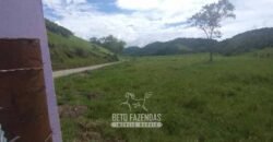 Fazenda à Venda 84 alqueires para Pecuária e Investimento | Silva Jardim/RJ Fazenda à Venda 84 alqueires para Pecuária e Investimento | Silva Jardim/RJ