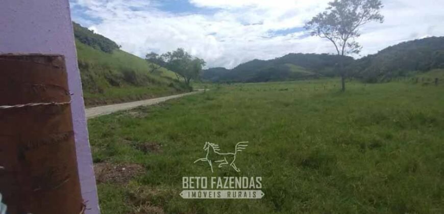 Fazenda à Venda 84 alqueires para Pecuária e Investimento | Silva Jardim/RJ Fazenda à Venda 84 alqueires para Pecuária e Investimento | Silva Jardim/RJ