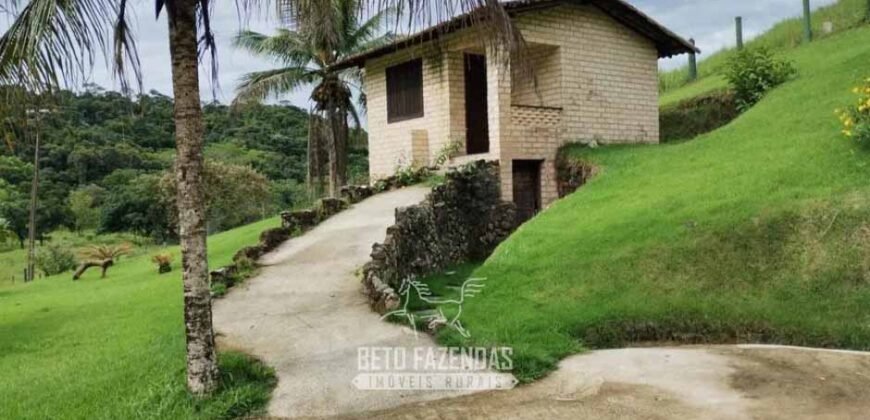 Fazenda à Venda 84 alqueires para Pecuária e Investimento | Silva Jardim/RJ Fazenda à Venda 84 alqueires para Pecuária e Investimento | Silva Jardim/RJ