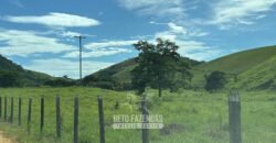 Venda de Fazenda 30 Alqueires Infraestrutura Completa na Pecuária | Sta. Maria Madalena /RJ