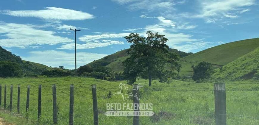 Venda de Fazenda 30 Alqueires Infraestrutura Completa na Pecuária | Sta. Maria Madalena /RJ