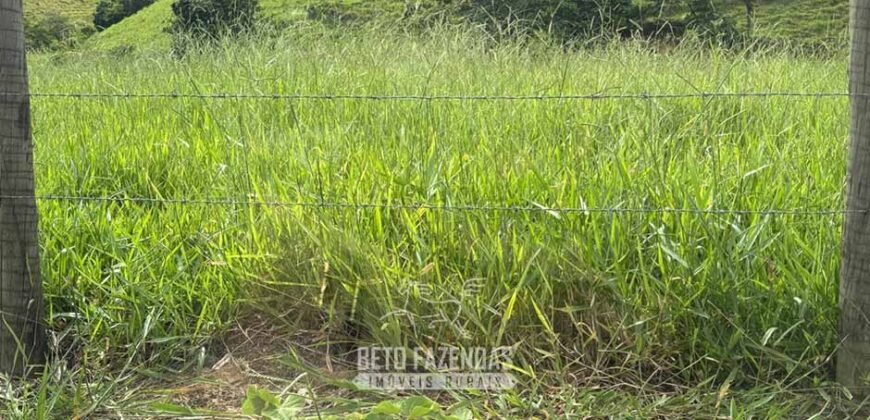 Venda de Fazenda 30 Alqueires Infraestrutura Completa na Pecuária | Sta. Maria Madalena /RJ