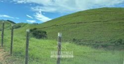 Venda de Fazenda 30 Alqueires Infraestrutura Completa na Pecuária | Sta. Maria Madalena /RJ