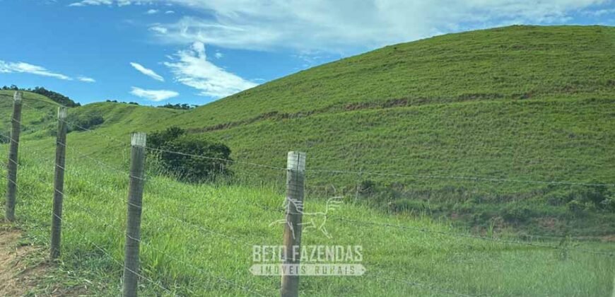Venda de Fazenda 30 Alqueires Infraestrutura Completa na Pecuária | Sta. Maria Madalena /RJ